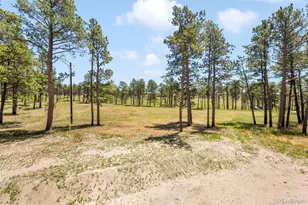 13355 Pinery Dr, Colorado Springs, CO 80908 - Photo 40
