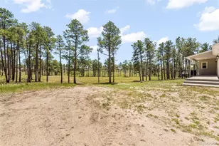 13355 Pinery Dr, Colorado Springs, CO 80908 - Photo 42