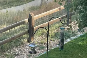 3303 Starry Night Loop, Castle Rock, CO 80109 - Photo 20