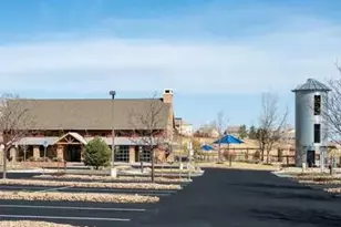 3303 Starry Night Loop, Castle Rock, CO 80109 - Photo 44