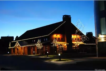 3303 Starry Night Loop, Castle Rock, CO 80109 - Photo 46