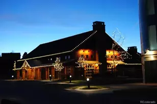 3303 Starry Night Loop, Castle Rock, CO 80109 - Photo 46