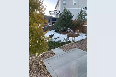 3303 Starry Night Loop, Castle Rock, CO 80109 - Photo 22