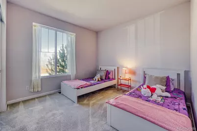 3303 Starry Night Loop, Castle Rock, CO 80109 - Photo 18