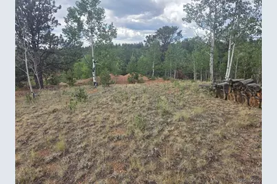 1124 Yorktown Road, Cripple Creek, CO 80813 - Photo 4
