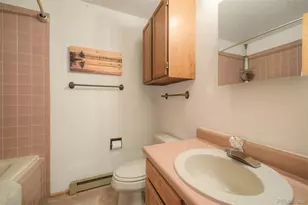 372 Cr-442, Grand Lake, CO 80447 - Photo 30