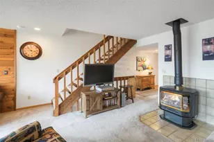 372 Cr-442, Grand Lake, CO 80447 - Photo 10