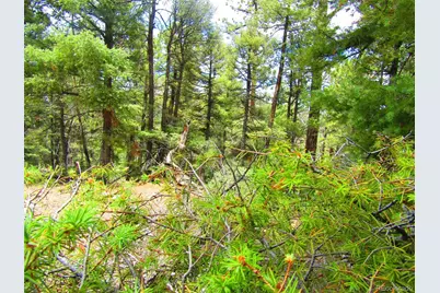 Lot 6028 Spruce Roads, San Luis, CO 81152 - Photo 24