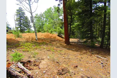 Lot 6028 Spruce Roads, San Luis, CO 81152 - Photo 20