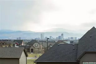 2834 Macon Way, Denver, CO 80238 - Photo 36