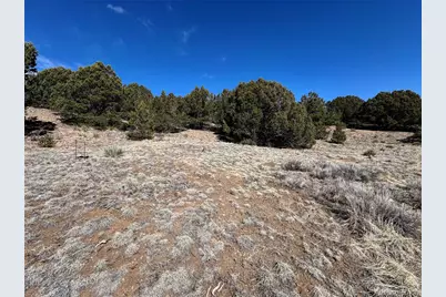 415 Kiowa Road, Westcliffe, CO 81252 - Photo 10