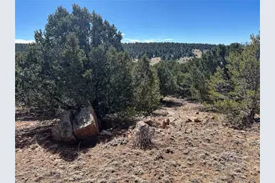 415 Kiowa Road, Westcliffe, CO 81252 - Photo 22
