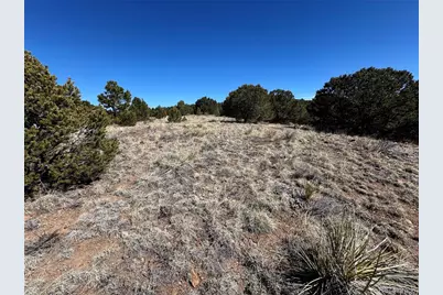 415 Kiowa Road, Westcliffe, CO 81252 - Photo 2