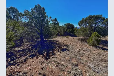 415 Kiowa Road, Westcliffe, CO 81252 - Photo 6