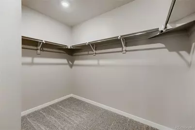 13749 Daffodil Point, Parker, CO 80134 - Photo 22