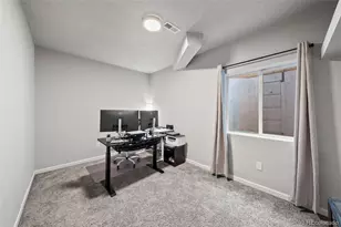 3807 Red Valley Ln, Castle Rock, CO 80104 - Photo 30