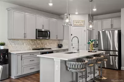 3807 Red Valley Lane, Castle Rock, CO 80104 - Photo 2