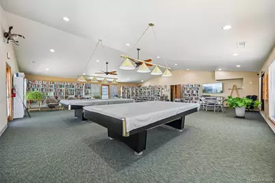 9 Skye Lane, Highlands Ranch, CO 80130 - Photo 48
