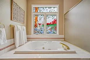 9 Skye Ln, Highlands Ranch, CO 80130 - Photo 28