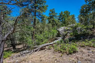 632 Nels Drive, Cotopaxi, CO 81223 - Photo 42