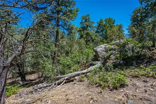 632 Nels Dr, Cotopaxi, CO 81223 - Photo 42
