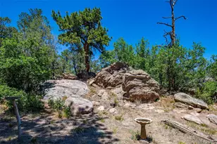 632 Nels Dr, Cotopaxi, CO 81223 - Photo 40