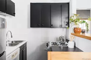 3733 N Franklin St, Denver, CO 80205 - Photo 22