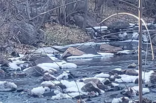 8946 Central Ave, Beulah, CO 81023 - Photo 8