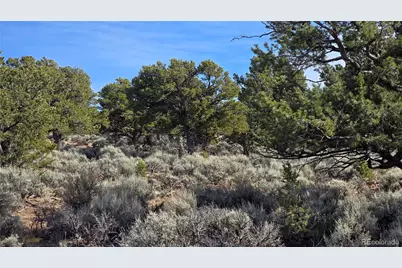 Lot 7293 Barker Road, Fort Garland, CO 81133 - Photo 18