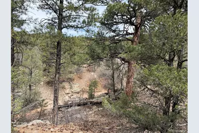 672 Coyote Run Trail, Canon City, CO 81223 - Photo 24