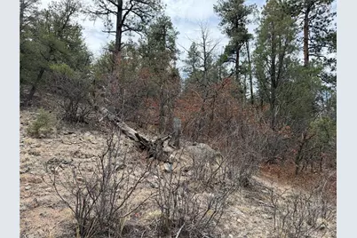 672 Coyote Run Trail, Canon City, CO 81223 - Photo 18