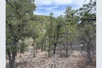 672 Coyote Run Trail, Canon City, CO 81223 - Photo 16
