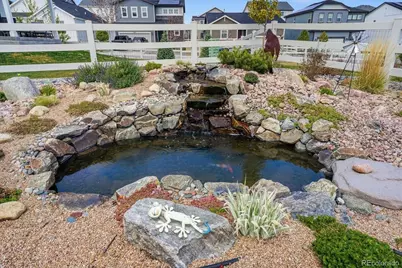 2595 Gray Wolf Place, Castle Rock, CO 80104 - Photo 28