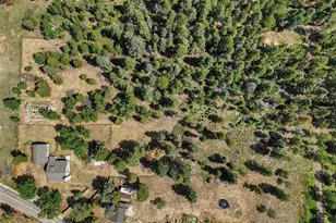 27887 Richmond Hill Rd, Conifer, CO 80433 - Photo 28