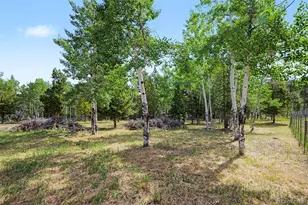 27887 Richmond Hill Rd, Conifer, CO 80433 - Photo 18