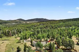 27887 Richmond Hill Rd, Conifer, CO 80433 - Photo 26