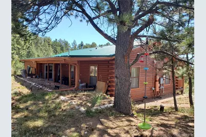 958 Meadows Lane, Florissant, CO 80820 - Photo 4