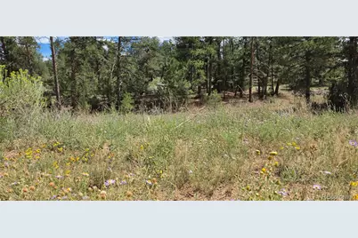 638 Keith Lane, Cotopaxi, CO 81223 - Photo 16