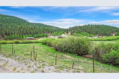 261 Wilkins Road, Bailey, CO 80421 - Photo 36