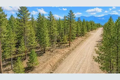 Lot 55 Lodgepole Drive, Twin Lakes, CO 80461 - Photo 4