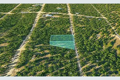 Lot 55 Lodgepole Drive, Twin Lakes, CO 80461 - Photo 8