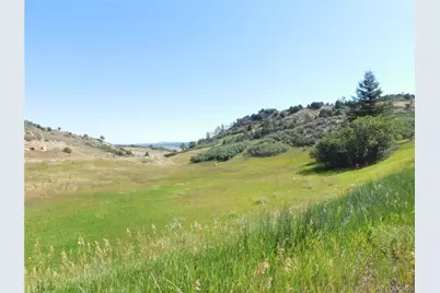 5905 Country Club Drive, Larkspur, CO 80118 - Photo 6