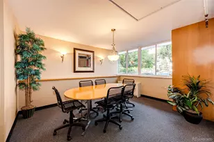 1196 N Grant St, Denver, CO 80203 - Photo 4