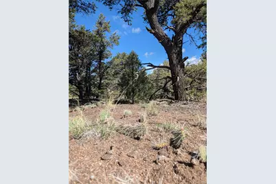 1814 Lobo Point, Crestone, CO 81131 - Photo 10