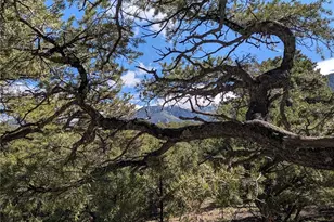 1814 Lobo Point, Crestone, CO 81131 - Photo 1