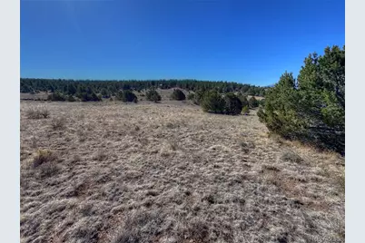 885 Crow Road, Westcliffe, CO 81252 - Photo 6