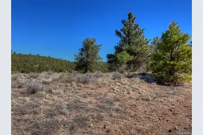 885 Crow Road, Westcliffe, CO 81252 - Photo 10