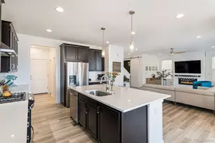 9217 Cloud Shadow Ln, Littleton, CO 80125 - Photo 6