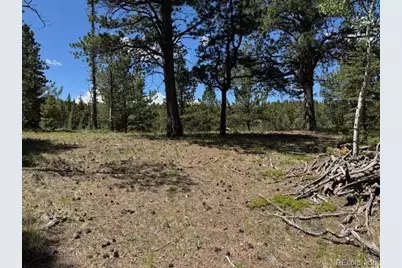 209 Kenosha Circle, Divide, CO 80814 - Photo 8