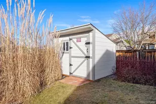 9809 Mulberry Way, Highlands Ranch, CO 80129 - Photo 40